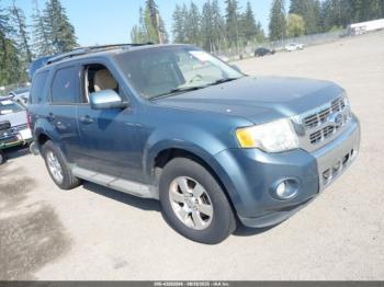  Salvage Ford Escape