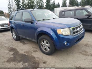  Salvage Ford Escape
