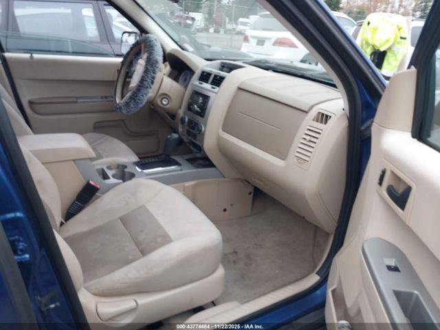 Ford Escape Xlt Image 6