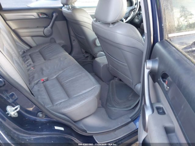 Honda CR-V Ex-l Image 9