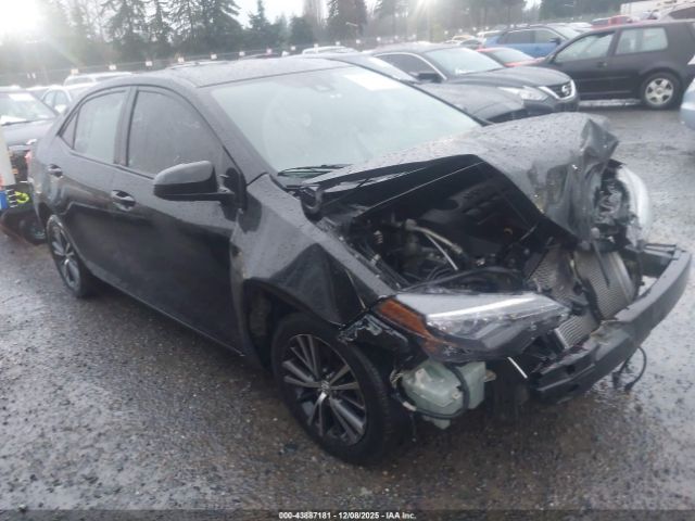 Toyota Corolla Le Image 1