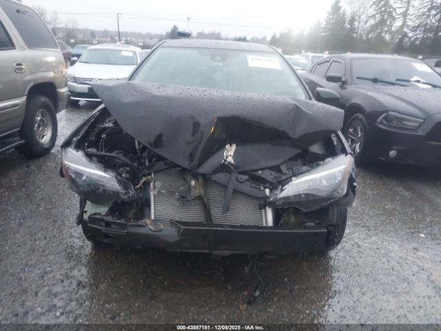 Toyota Corolla Le Image 12