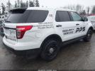 Ford Utility Police Intercepto Image 8