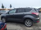 Ford Escape Titanium Image 9