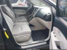 Lexus RX Image 2