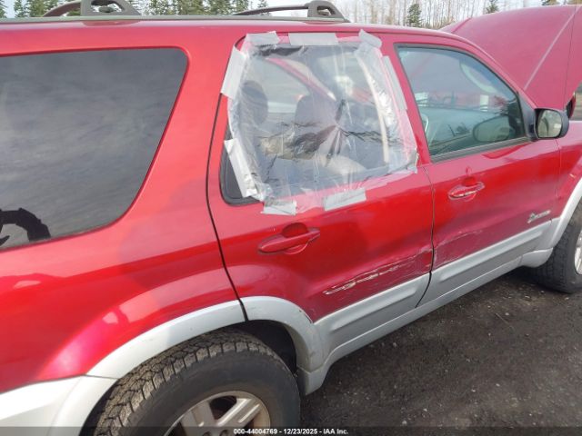 Ford Escape Hybrid Image 5