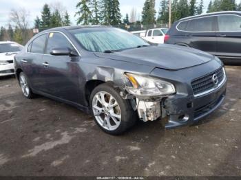  Salvage Nissan Maxima