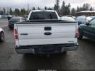 Ford F-150 Xlt Image 18