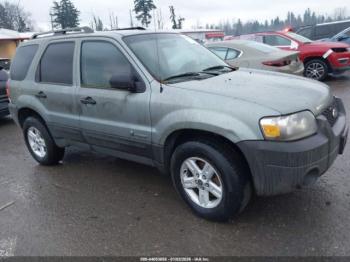  Salvage Ford Escape