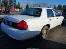 Ford Crown Victoria Police Interceptor Image 9
