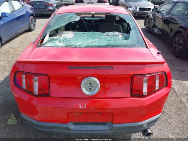 Ford Mustang Image 2